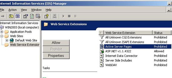 Web Service Extensions